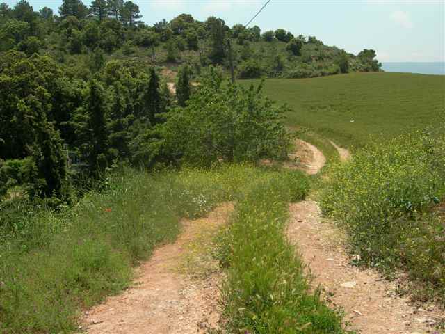 Agrandir l'image Col avant Rojals