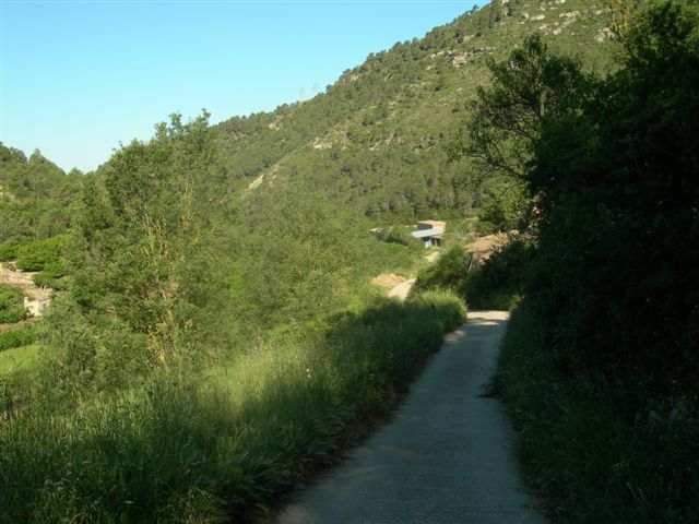 Agrandir l'image Route en direction d'Arboli