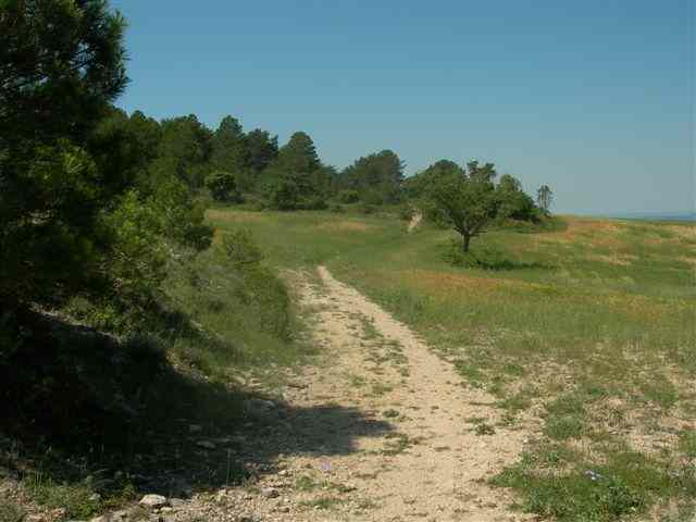 Agrandir l'image Chemin vers Collet dels Colls