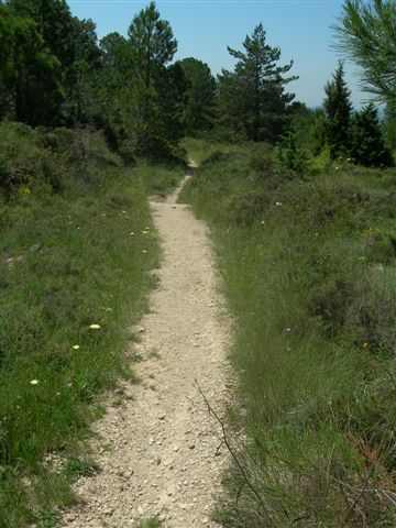 Agrandir l'image Sentier du Collet dels Colls à Arboli