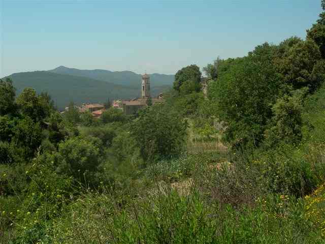 Agrandir l'image Arboli