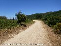 Puerto de la Zarza - ES-CA-463 mtres