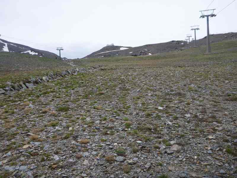 Pistes de la Station de Borreguiles Sierra Nevada