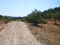 Coll de les Argiles - ES-T-0110