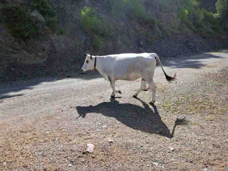 En direction du Coll de Trapa