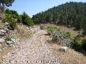 Agrandir l'image Coll de Pendis - ES-B-1786 (1781 m)