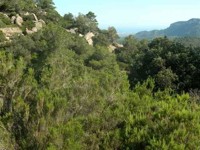 Agrandir l'image Aux alentours du Collet de les Moletes