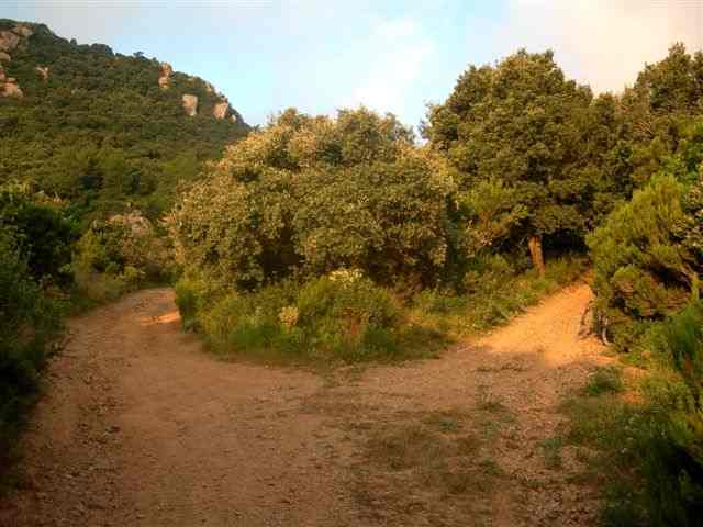 Agrandir l'image Embranchement à droite du chemin du coll de Foradada