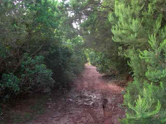 Agrandir l'image Chemin du Collet de la Desenrrocada