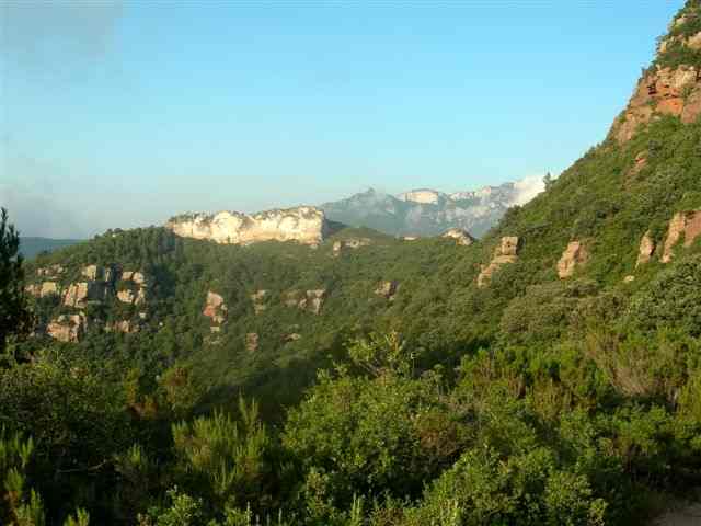 Agrandir l'image Environnement du chemin du Collet de la Desenrrocada