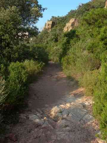 Agrandir l'image Chemin du collet Rodo