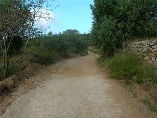 Agrandir l'image Chemin en direction du Coll de la Mala Nit