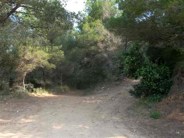 Agrandir l'image Carrefour sur la piste du Coll del Algat