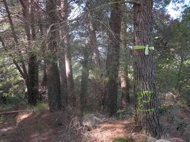 Agrandir l'image PJ au Coll del Algat