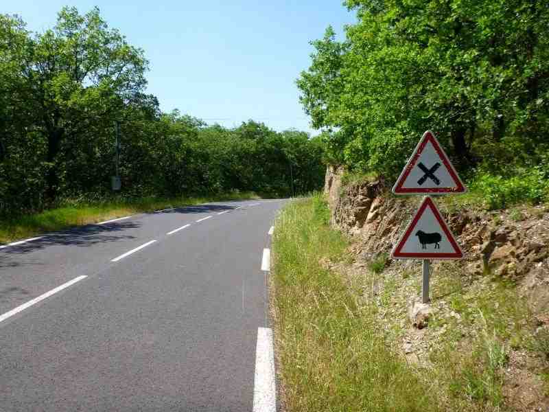 Agrandir l'image En direction du Col Vert