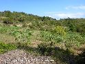 Agrandir l'image Coll de Repàs - ES-T-0150b