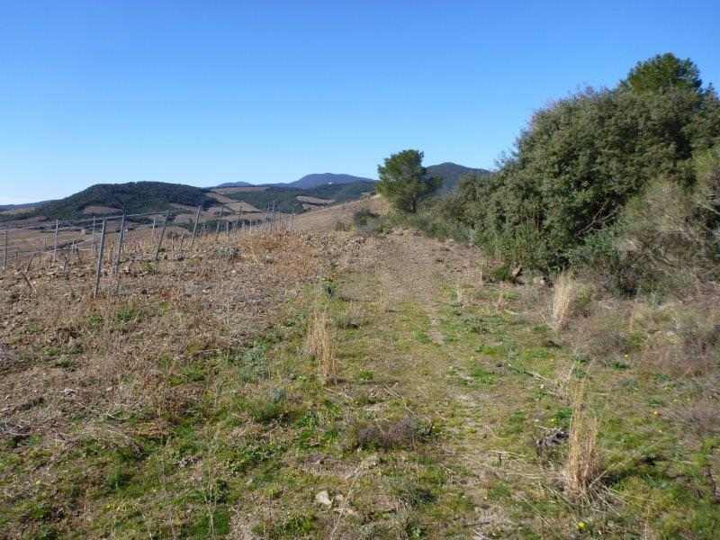 Agrandir l'image Roquebrun