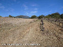 Col de la Serre - FR-34-0135