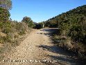 Col du Gour de la Taule - FR-34-0117