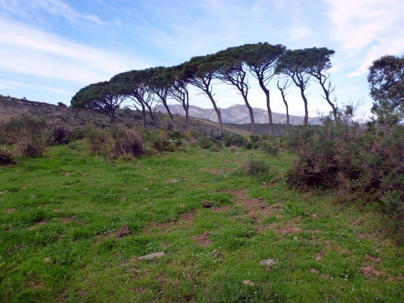 En direction du Coll de Maó