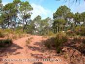 Collado de la Grajera - ES-TE- 1293 mtres