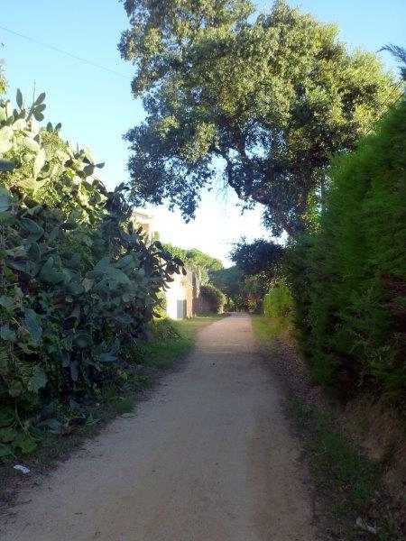 Agrandir l'image Via Verde del Carrilet