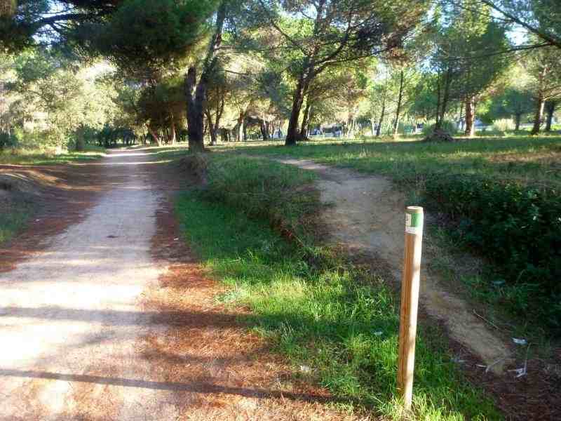 Agrandir l'image Via Verde del Carrilet