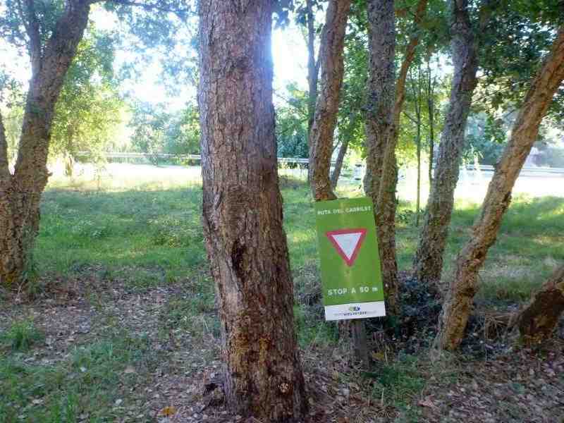 Agrandir l'image Via Verde del Carrilet