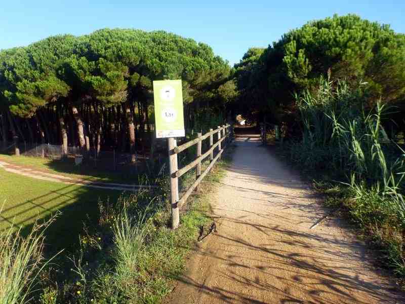 Agrandir l'image Via Verde del Carrilet