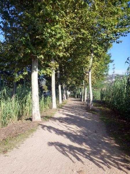 Agrandir l'image Via Verde del Carrilet