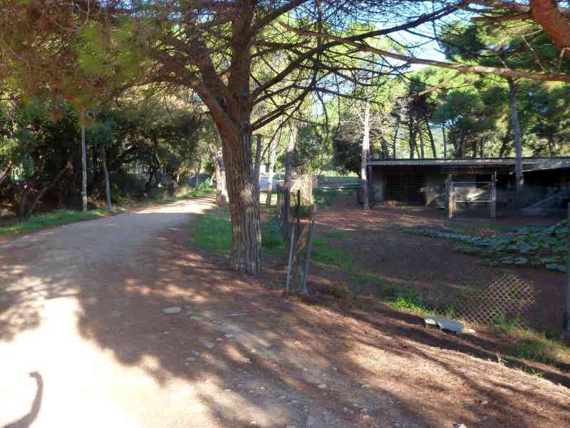 Agrandir l'image Via Verde del Carrilet