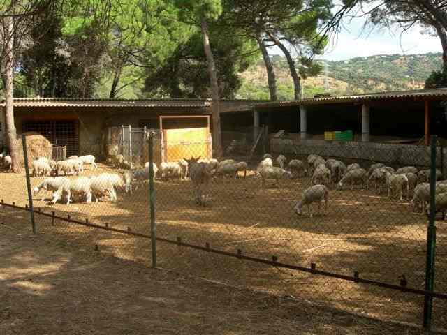 Agrandir l'image Via Verde del Carrilet