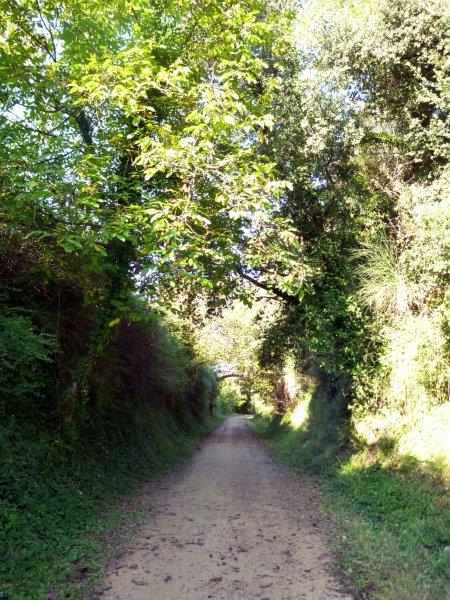 Agrandir l'image Ruta del Carrilet