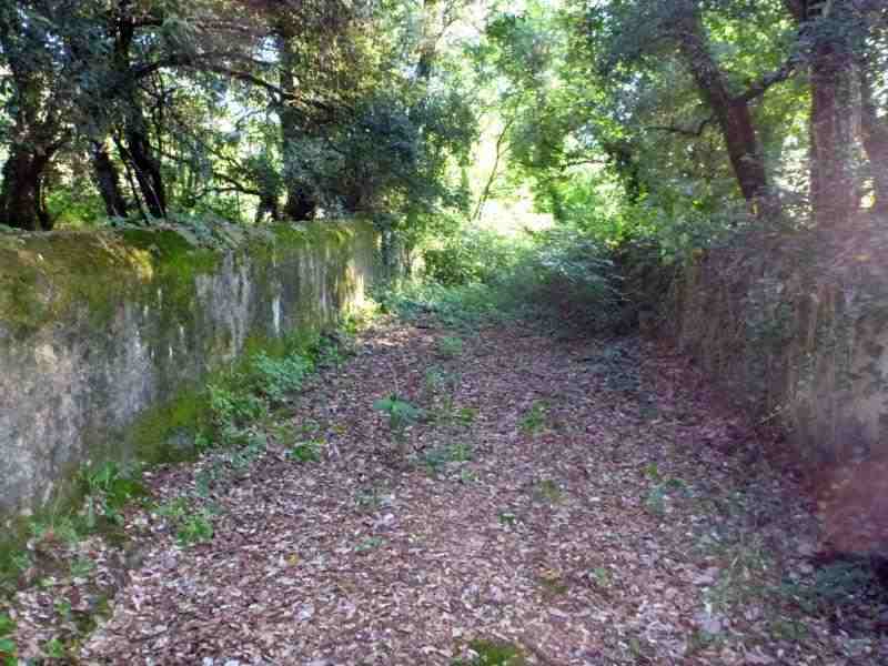 Agrandir l'image Ruta del Carrilet