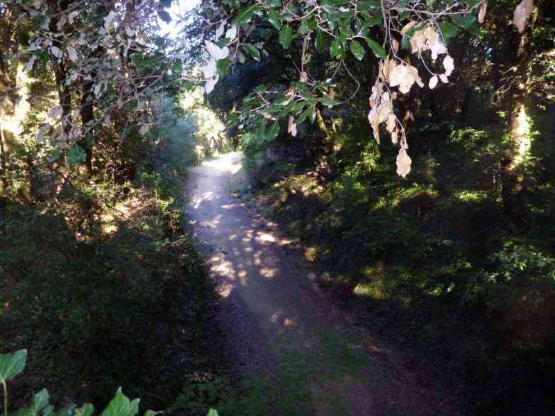 Agrandir l'image Ruta del Carrilet