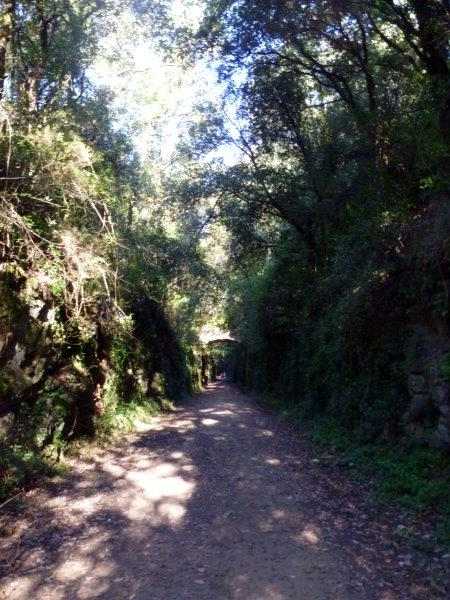 Agrandir l'image Ruta del Carrilet
