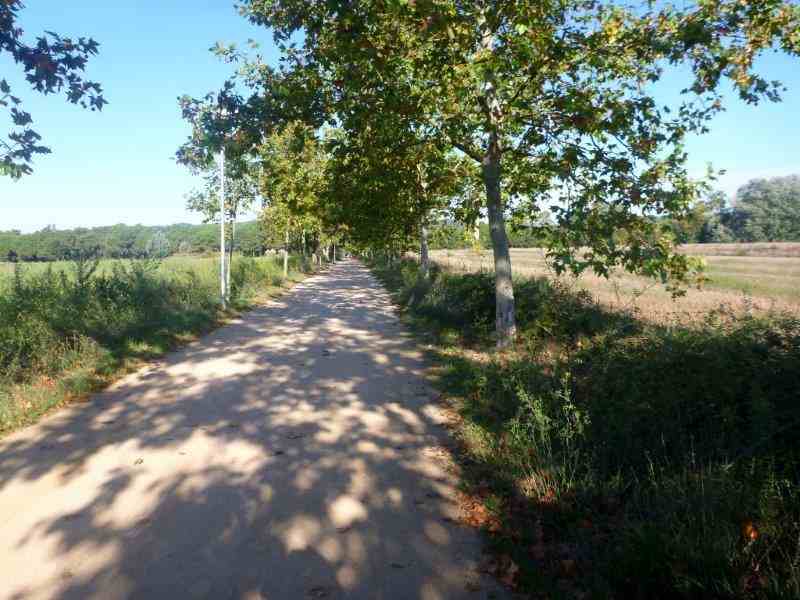 Agrandir l'image Via Verde del Carrilet