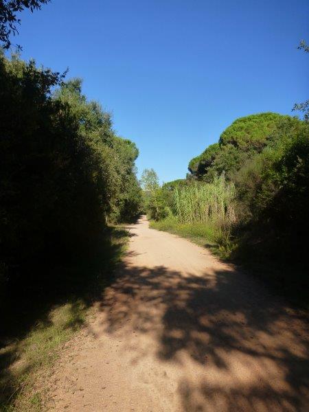 Agrandir l'image Via Verde del Carrilet