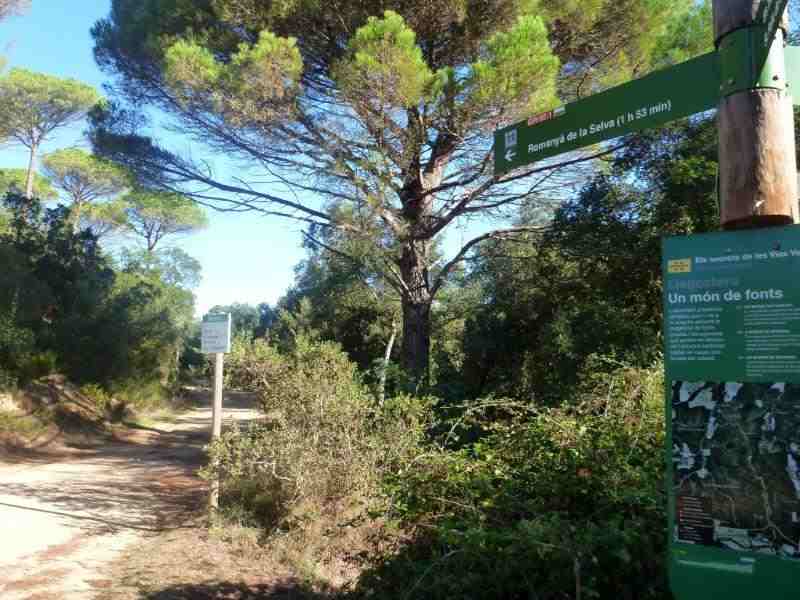 Agrandir l'image Via Verde del Carrilet