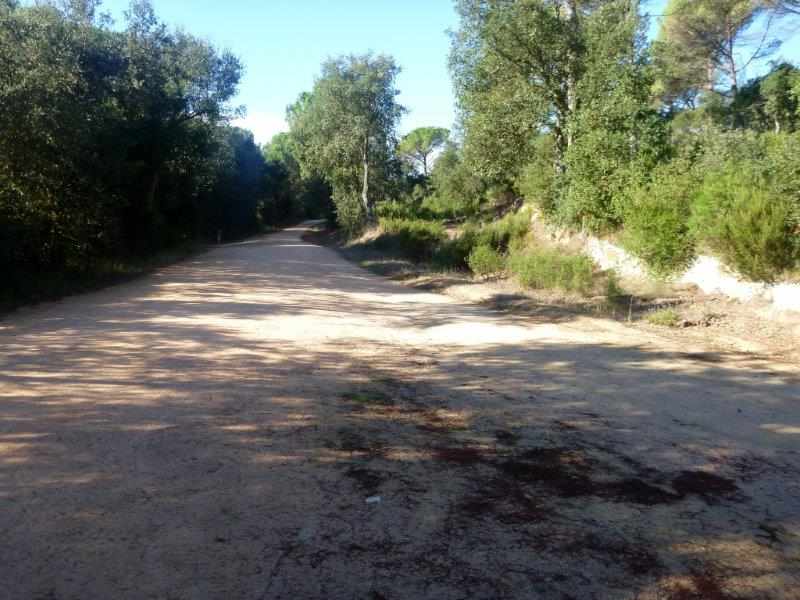 Agrandir l'image Via Verde del Carrilet