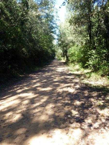 Agrandir l'image Ruta del Carrilet
