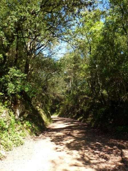 Agrandir l'image Ruta del Carrilet