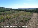 Col de l'Emportadou - FR-34-0325