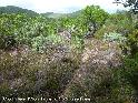 Coll des Moulins - FR-34-0155a