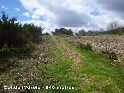 Col de l'Airole - FR-34-0949