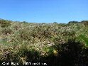 Agrandir l'image Col Bas - FR-12-0879