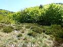 Agrandir l'image Col Bas - FR-12-0879