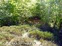 Agrandir l'image Col Bas - FR-12-0879