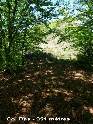 Agrandir l'image Col Bas - FR-12-0879
