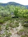 Col Bas - FR-12-0879